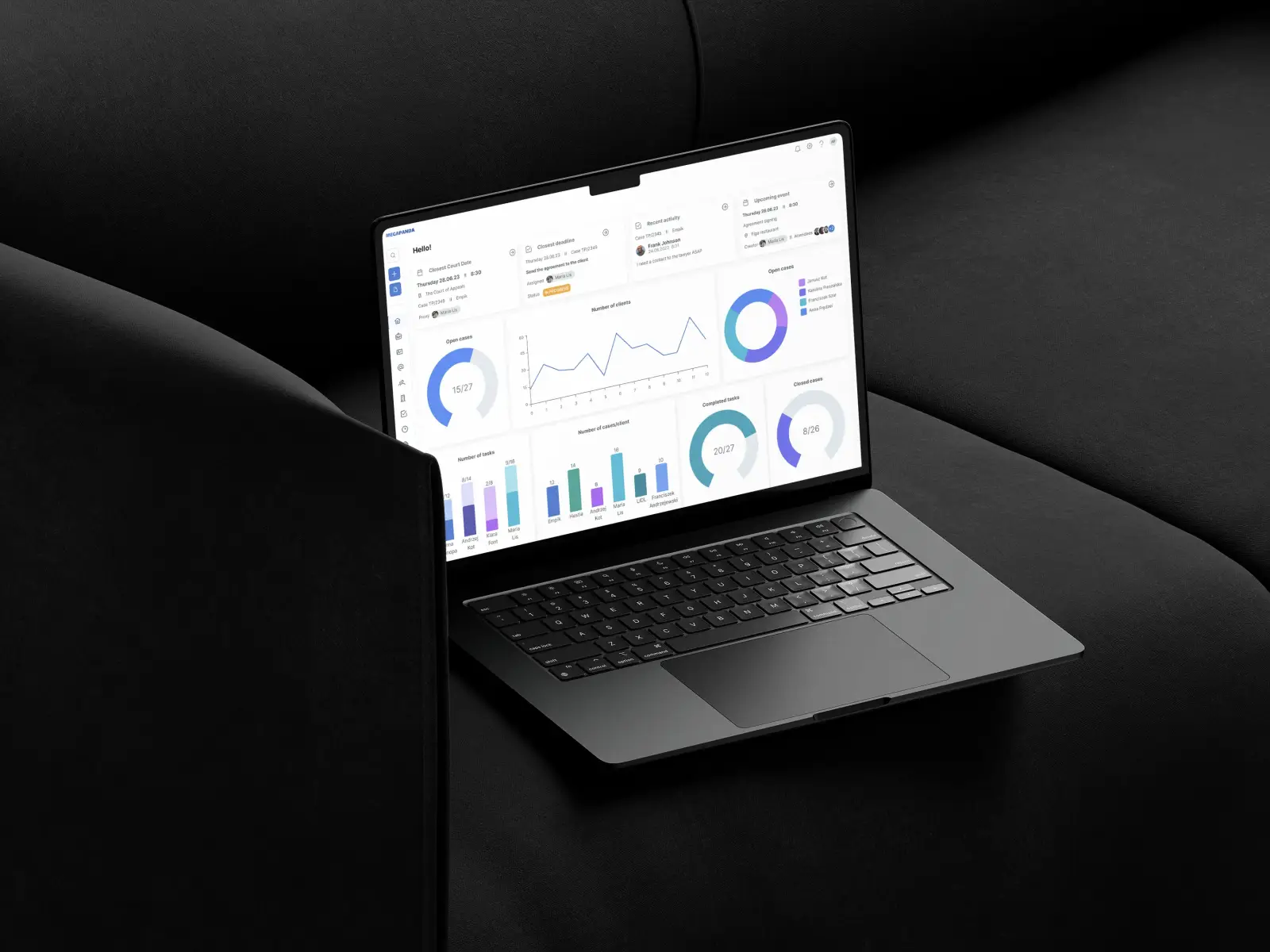 Mega Panda project gallery