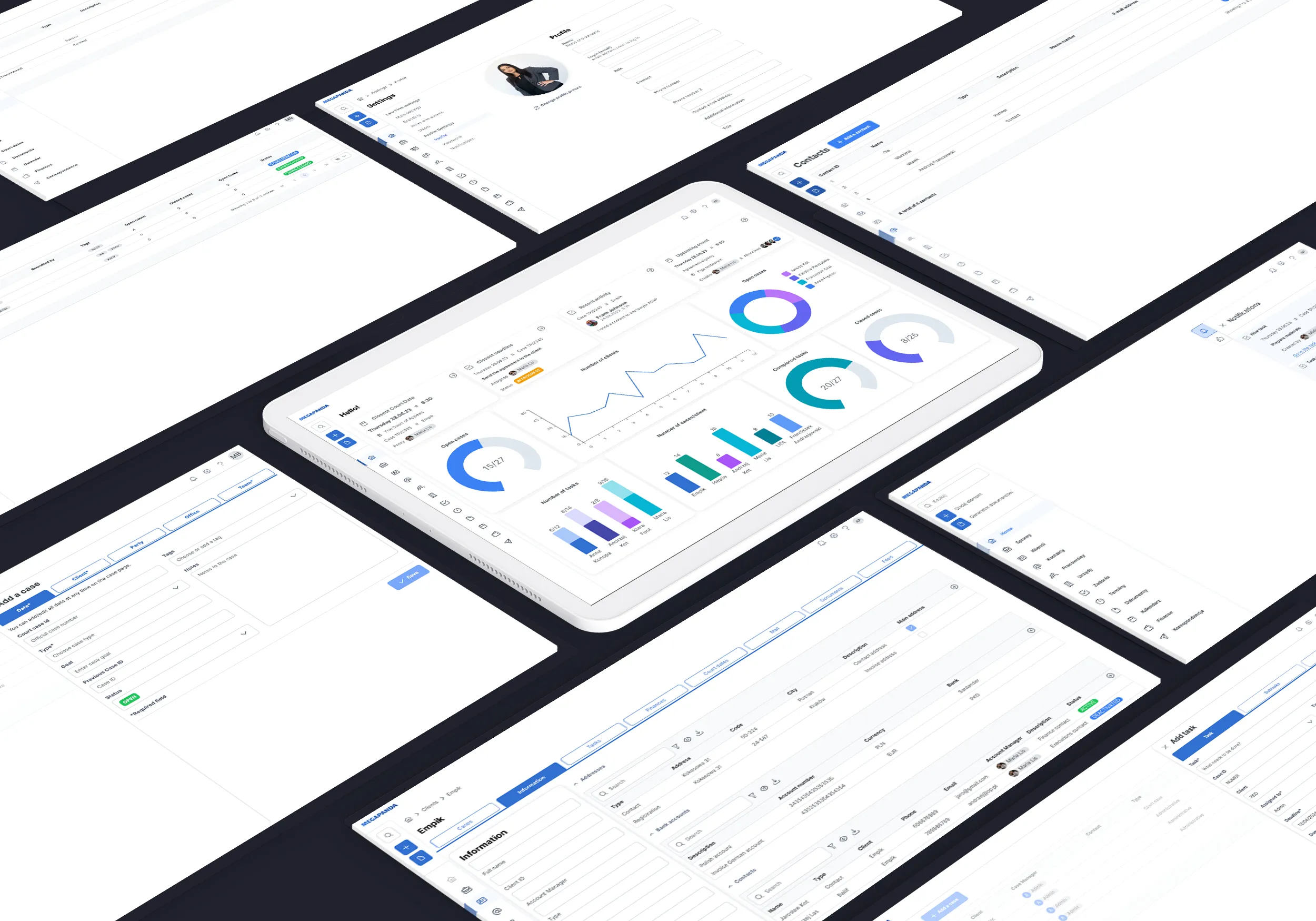 Mega Panda — project screenshot