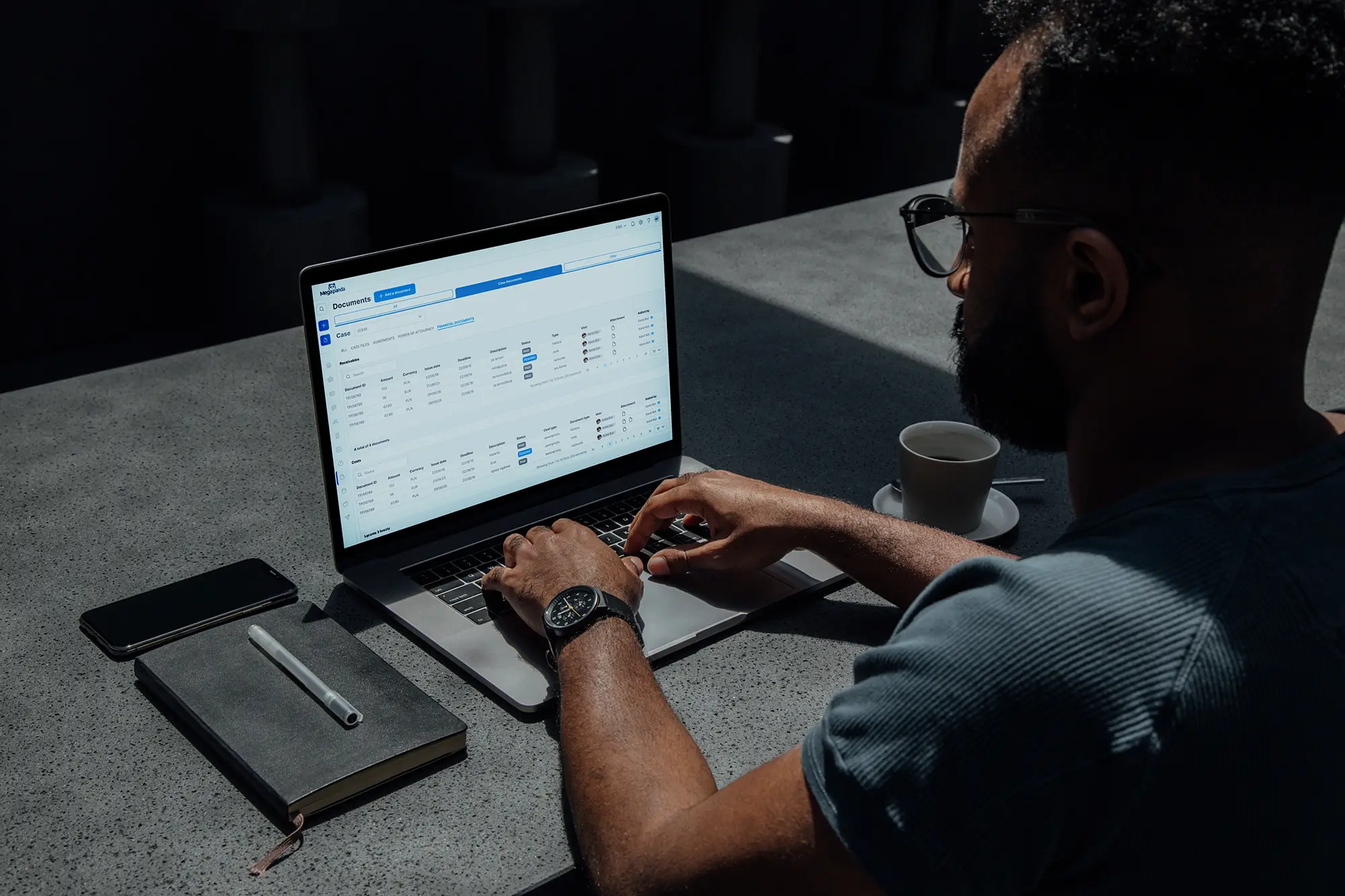 Mega Panda project gallery